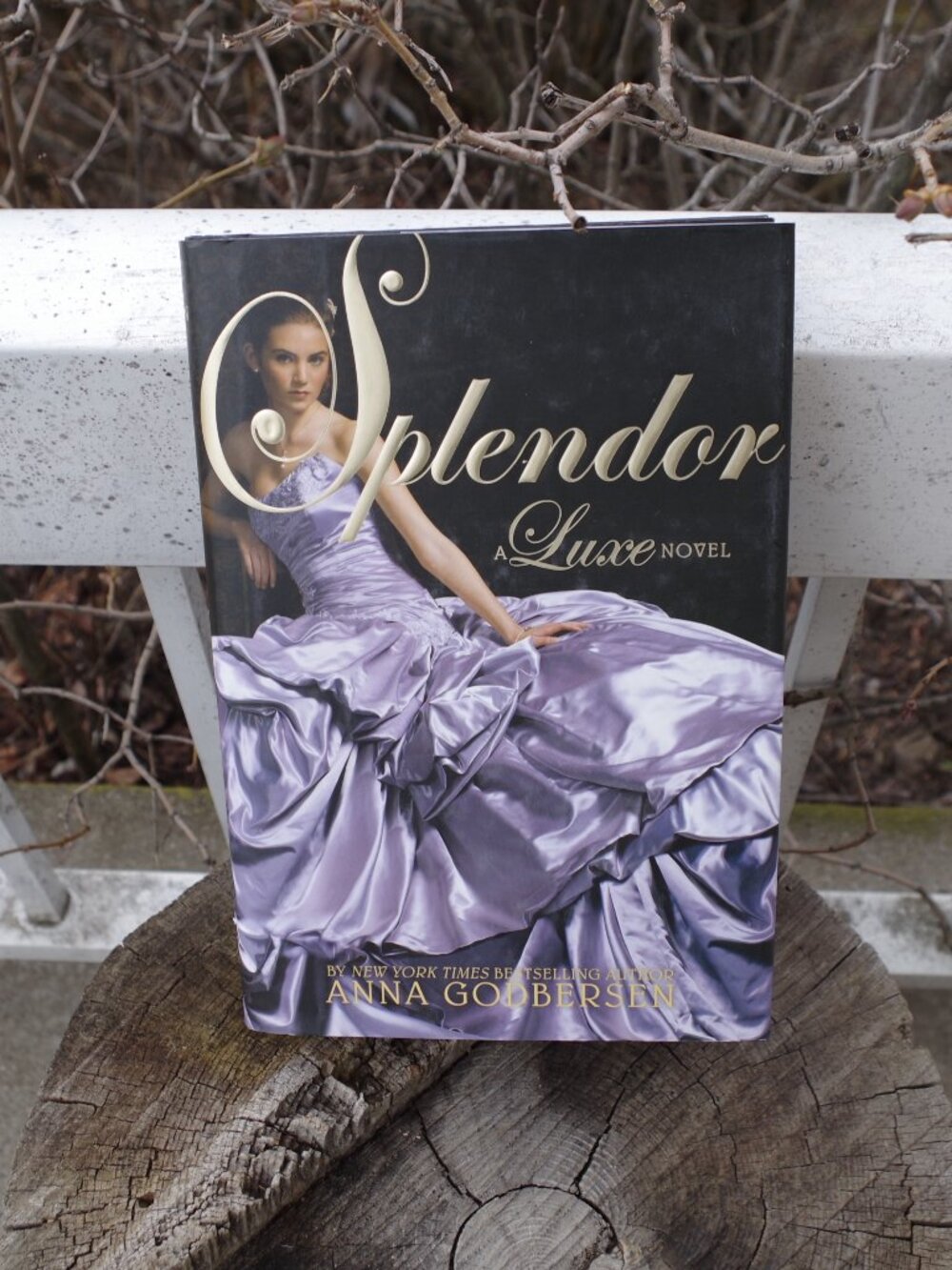 Vintage Splendor A Luxe Novel